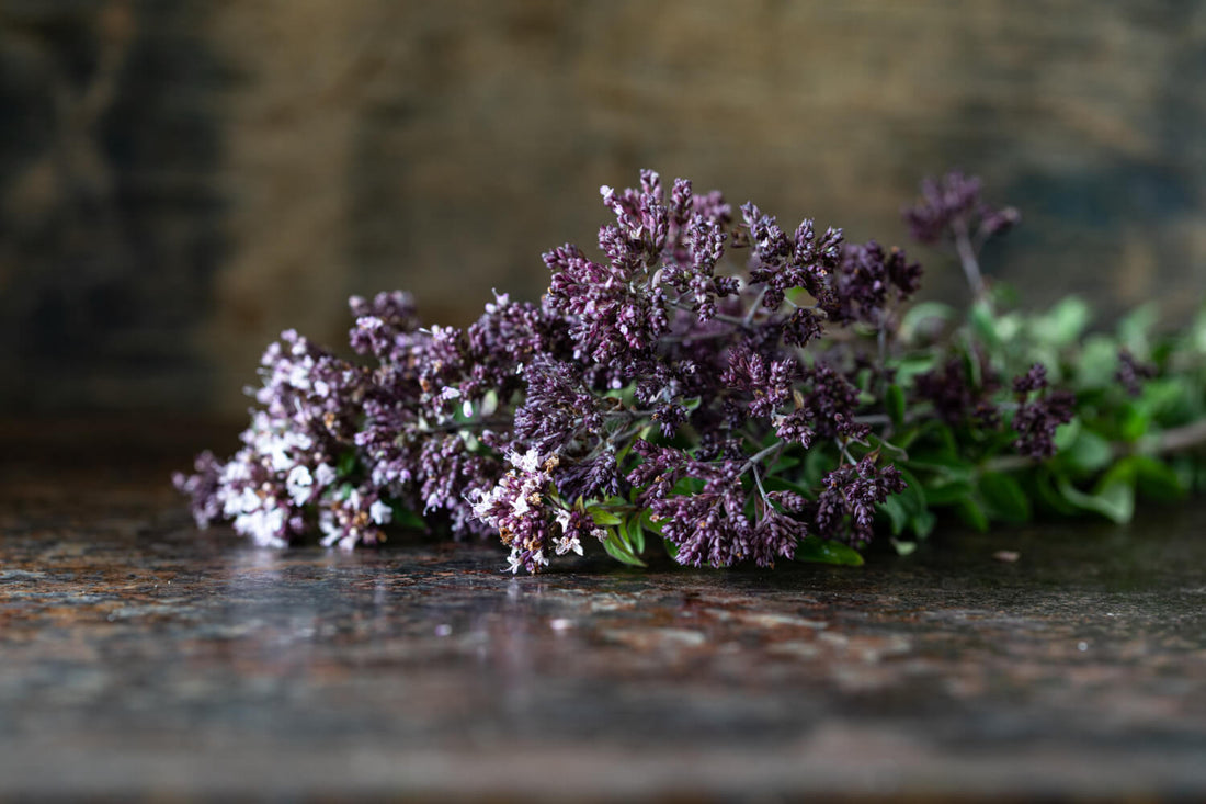 PATCHOULI: NATURE'S HIDDEN PHEROMONE THAT ENHANCES MALE ATTRACTION